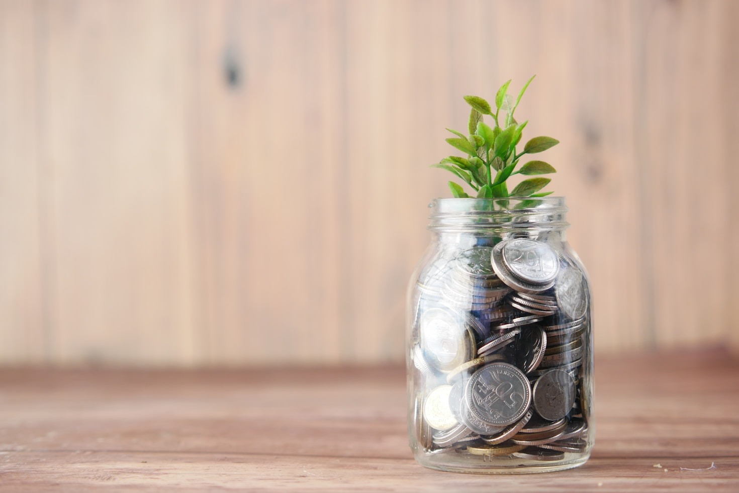 Liberdade Financeira: Um Sonho ao Seu Alcance